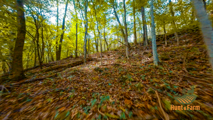 Still 2025-10-30 092500_2.5.1.png